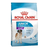 SHN GIANT JUNIOR.png